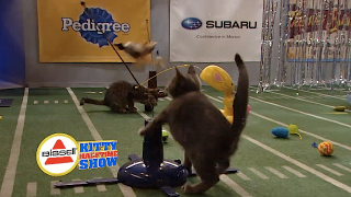 The Bissell Kitty Halftime Show Was an Acid Trip of Kitty